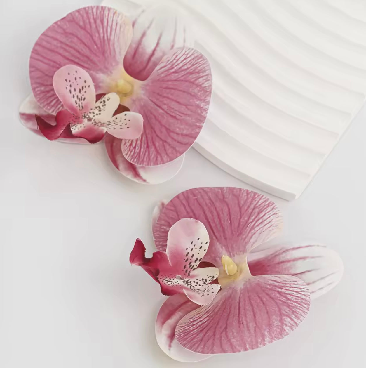 Pink Butterfly Orchid