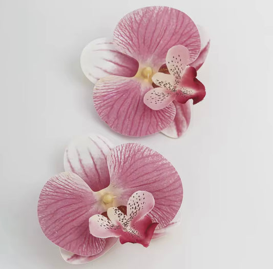 Pink Butterfly Orchid